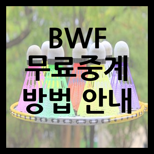 BWF 무료중계