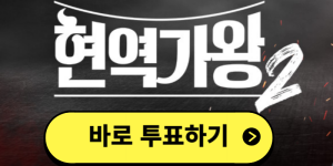 현역가왕2 투표하기